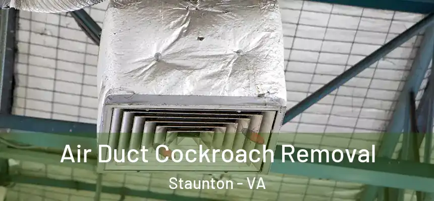  Air Duct Cockroach Removal Staunton - VA