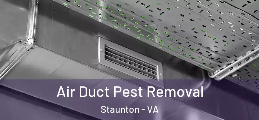  Air Duct Pest Removal Staunton - VA