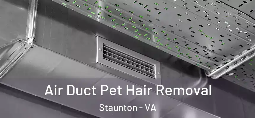  Air Duct Pet Hair Removal Staunton - VA