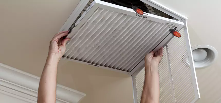 Preventive Cockroach-Proofing for Ducts in Staunton