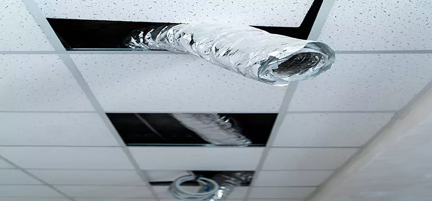 Affordable HVAC Sanitizing After Pest Removal in Staunton