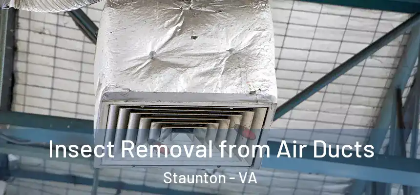 Insect Removal from Air Ducts Staunton - VA