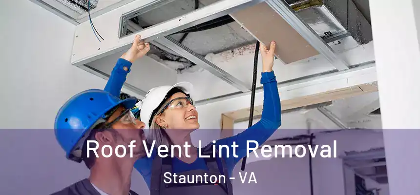  Roof Vent Lint Removal Staunton - VA