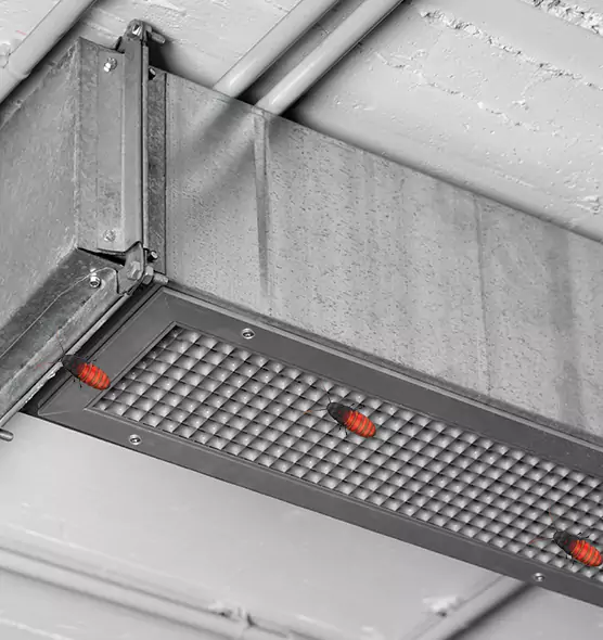 Affordable Insect Removal from Air Ducts in Staunton, VA