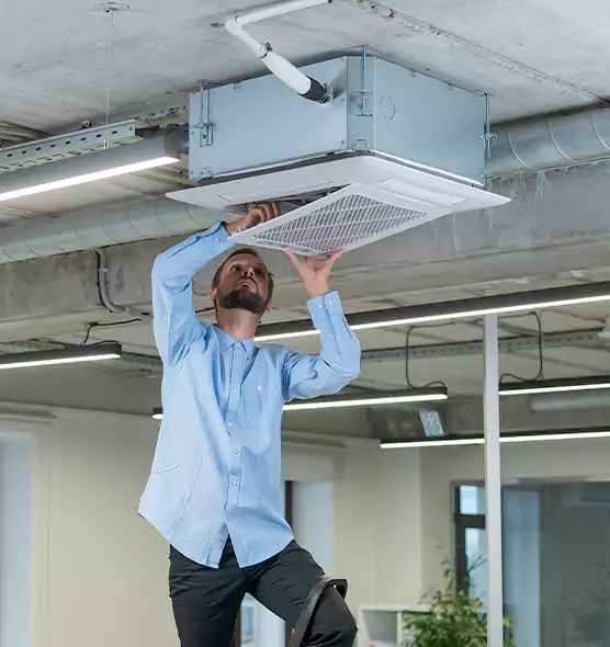 Advanced Rodent Droppings In Vents in Staunton, VA