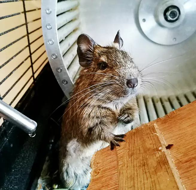 Why Homeowners & Businesses Trust Us Staunton, VA?