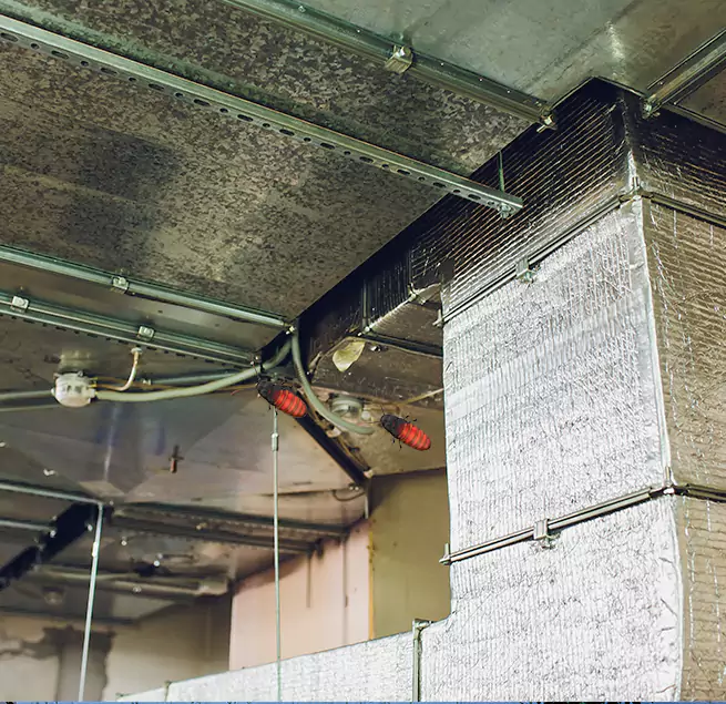 Why Homeowners & Businesses Trust Us Staunton, VA?